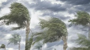 أمطار رعدية ورياح مثيرة للأتربة تضرب مدنًا عدة اليوم